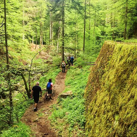 بيت ضيافة Zur Neuen Post Landgasthof Herzogsreut