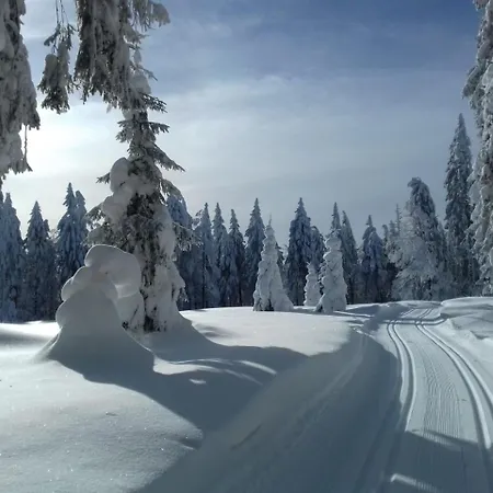 Zur Neuen Post Landgasthof 4* Herzogsreut