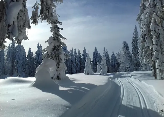 Zur Neuen Post Landgasthof 4* Herzogsreut
